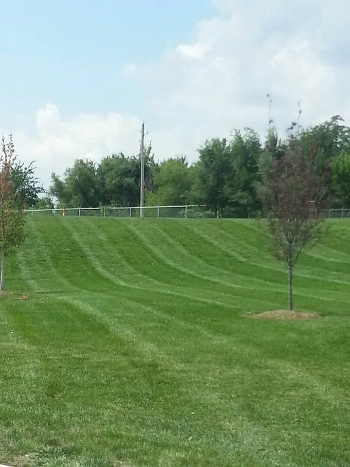 Quality Lawn - Photo 4