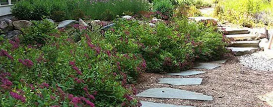 Our Efforts by Milarch Brothers Nursery & Landscaping - Photo 10