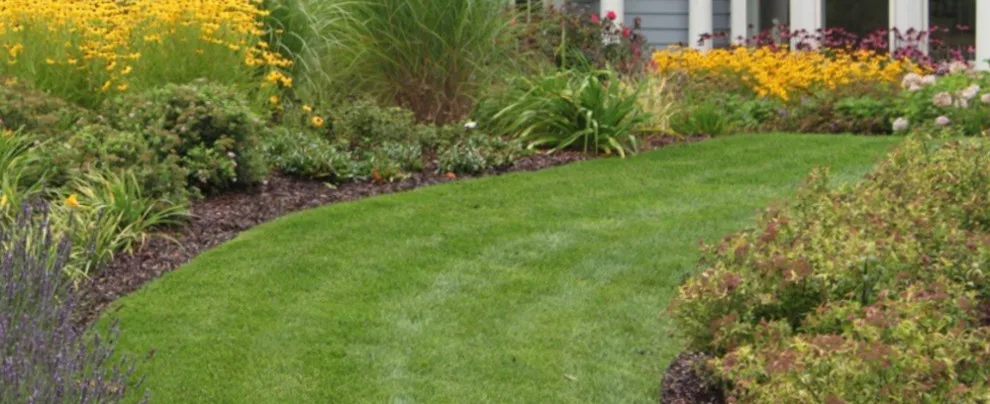 Milarch Brothers Nursery & Landscaping - Photo 13