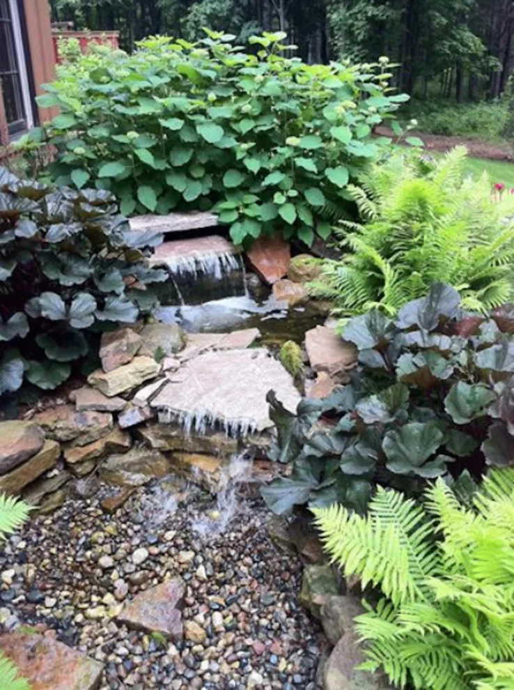 Milarch Brothers Nursery & Landscaping - Photo 4