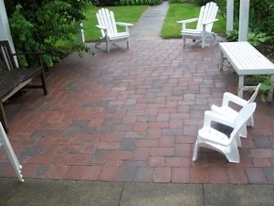 Scott's Lawn And Landscape - Photo 12