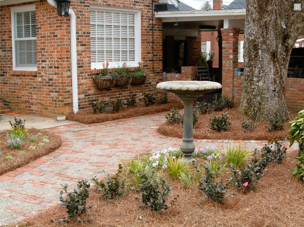 Buds N' Blossoms Nursery - Photo 3