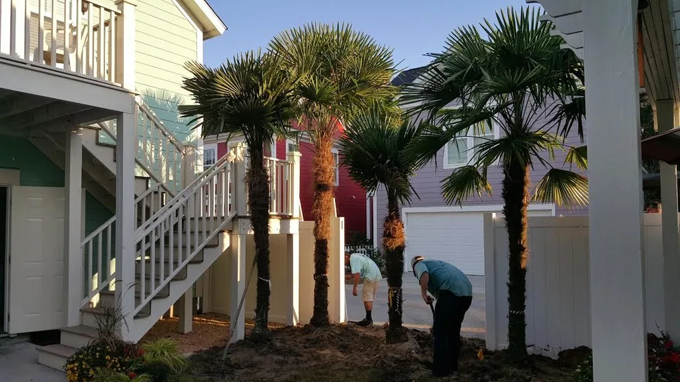 Elite Coastal Landscaping LLC - Photo 11