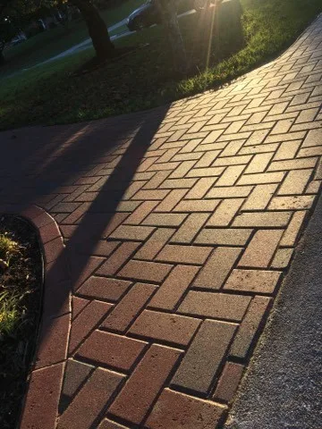 Landscape Innovation - Photo 13