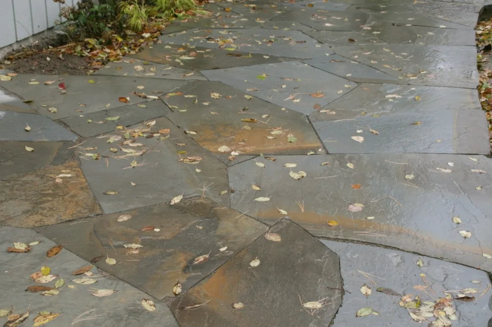 David Spencer Professional Landscaping Services - Photo 14