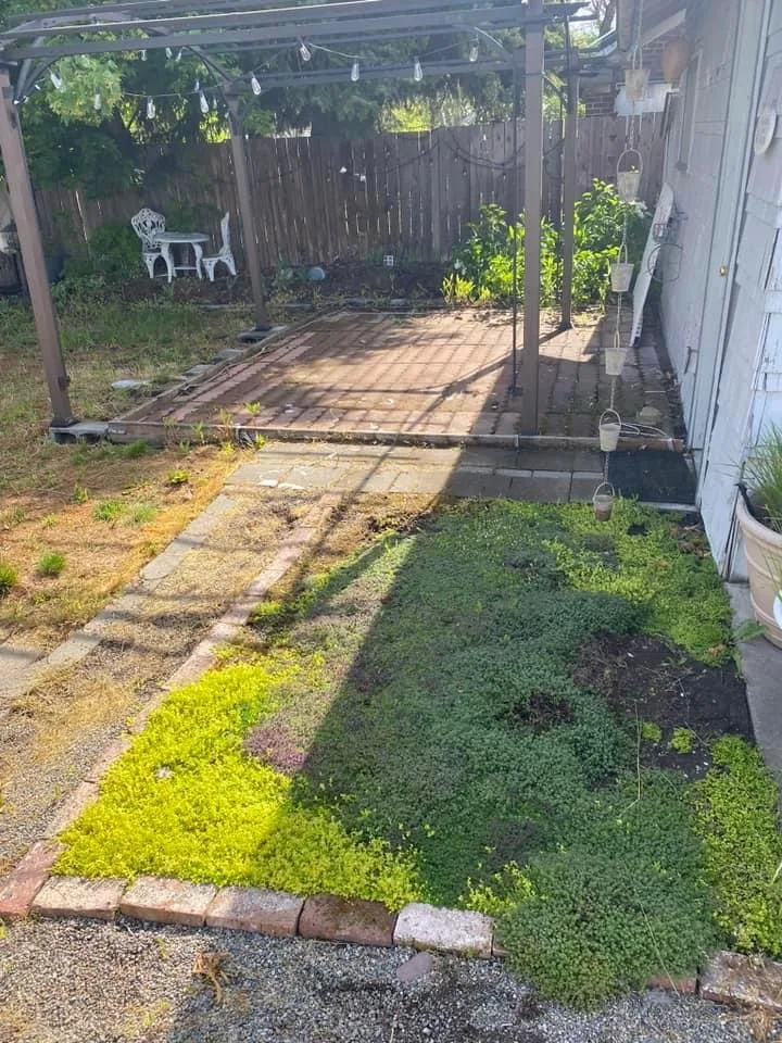 Dan's Custom Landscape LLC - Photo 3