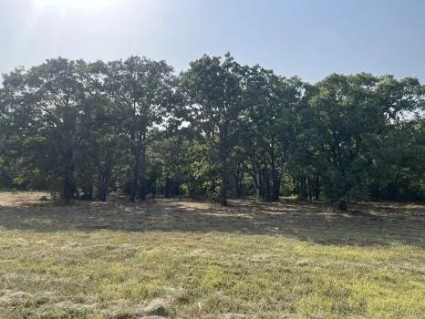AHR Forestry Mulching And Land Clearing - Photo 2