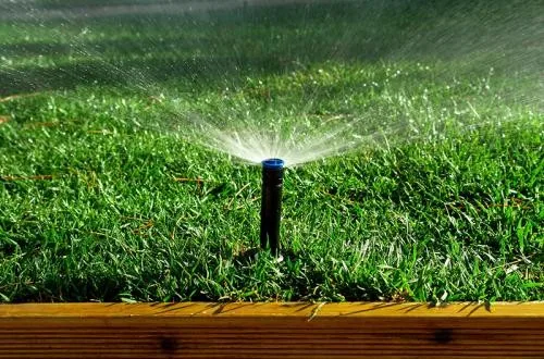 Pippinger Lawn And Landscape Services - Photo 2