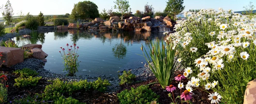 Water Retreat by Outback Landscape - Photo 2