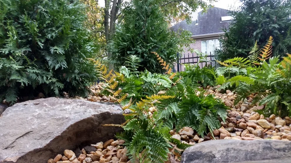 Patio and Landscape Overhaul by the Pool by Blue Fox Landscape Design Inc - Photo 6