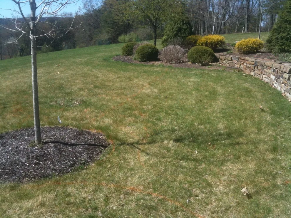 Putting and Practice Greens by A-Z Landscaping LLC - Photo 3