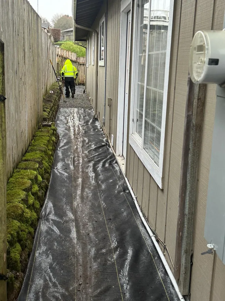 Project One by Blossom Landscaping & Handyman Service - Photo 2