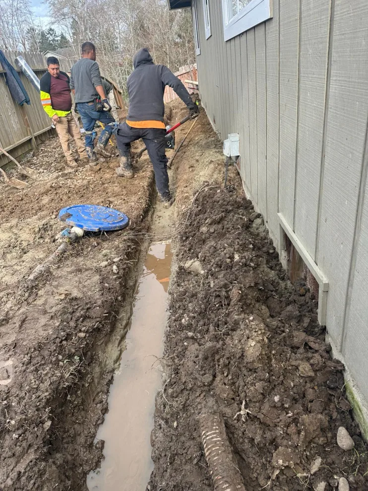 Project One by Blossom Landscaping & Handyman Service - Photo 7