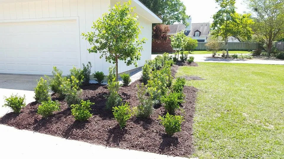 Farmhouse Landscaping for the Front Yard by Twisted Vines Lawn & Landscaping - Photo 5