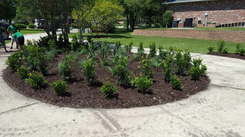 Farmhouse Landscaping for the Front Yard by Twisted Vines Lawn & Landscaping - Photo 4