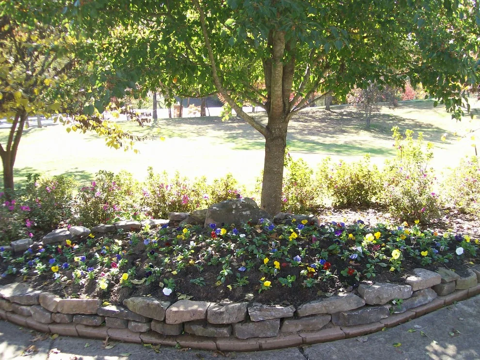 Aquatic Garden by Crider Landscaping - Photo 5