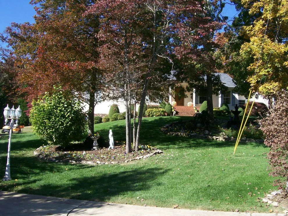 Aquatic Garden by Crider Landscaping - Photo 3