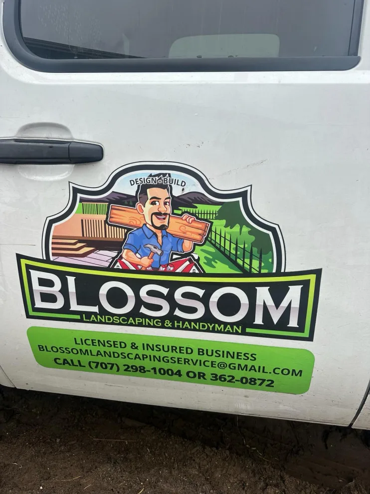 Project Four by Blossom Landscaping & Handyman Service - Photo 6