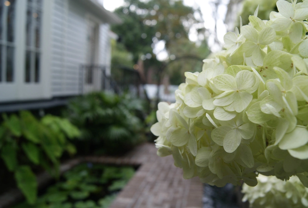 Subtle Elegance by Carolina Landscape, Inc. - Photo 12