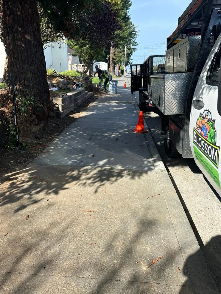 Initiative by Blossom Landscaping & Handyman Service - Photo 12