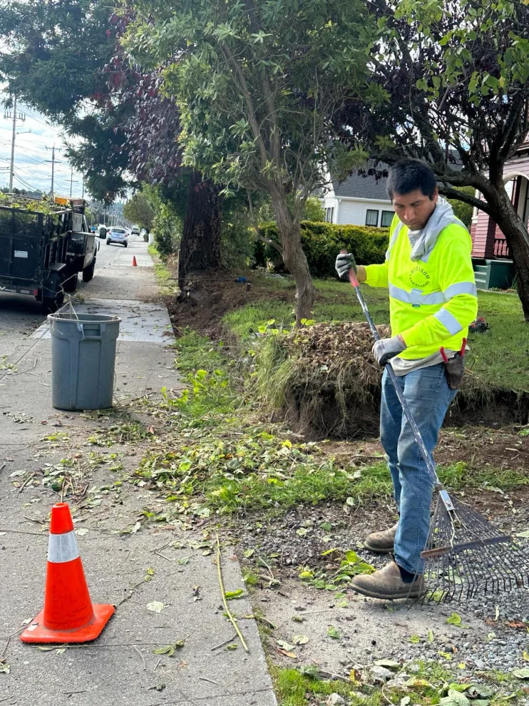 Initiative by Blossom Landscaping & Handyman Service - Photo 13