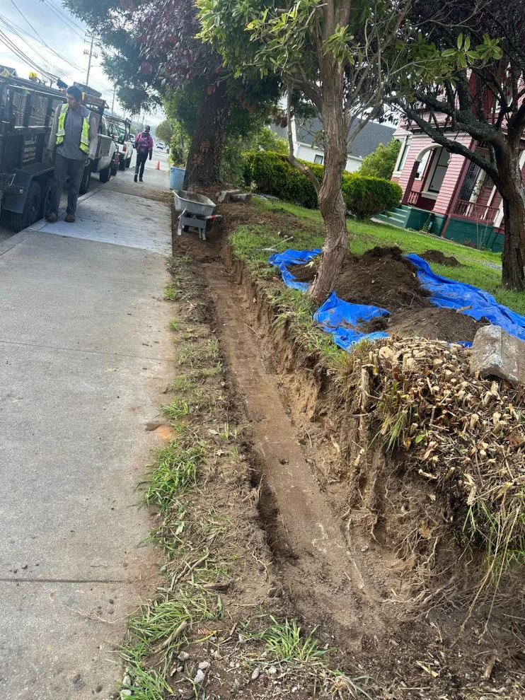 Initiative by Blossom Landscaping & Handyman Service - Photo 3