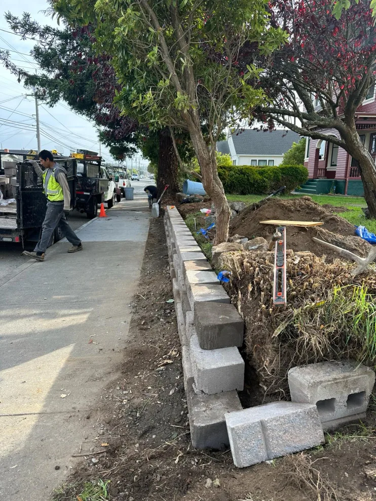 Initiative by Blossom Landscaping & Handyman Service - Photo 8