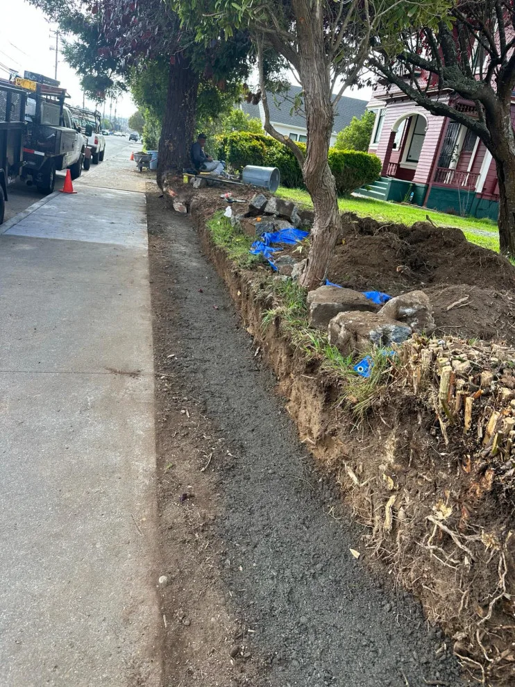 Initiative by Blossom Landscaping & Handyman Service - Photo 7