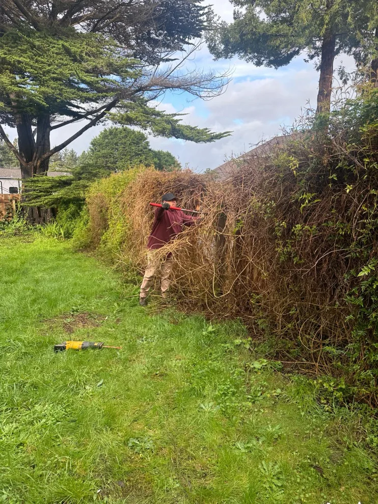 Initiative by Blossom Landscaping & Handyman Service - Photo 15