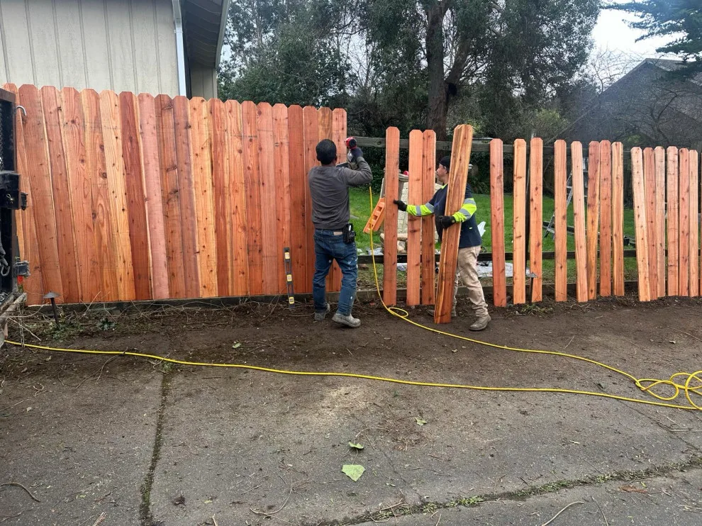 Initiative by Blossom Landscaping & Handyman Service - Photo 11
