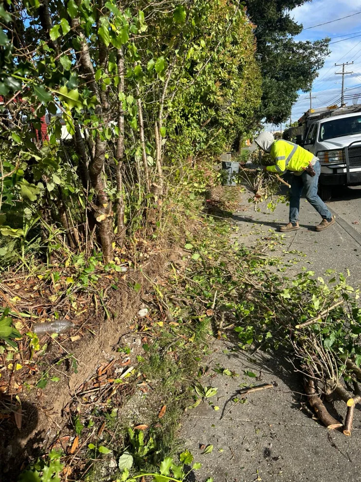 Initiative by Blossom Landscaping & Handyman Service - Photo 6