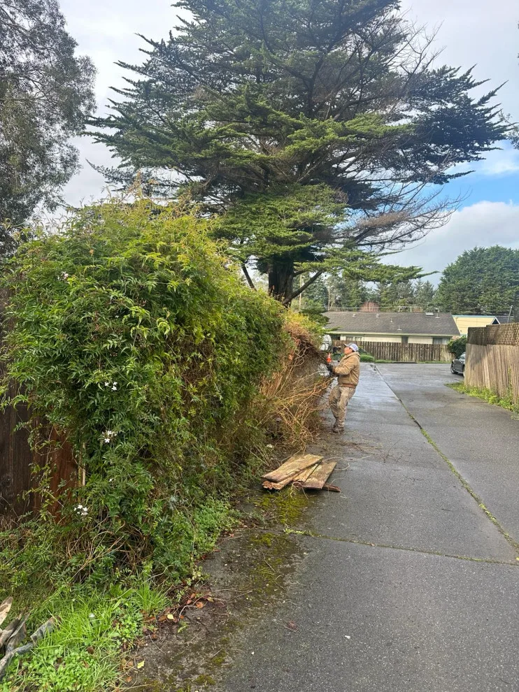 Initiative by Blossom Landscaping & Handyman Service - Photo 2