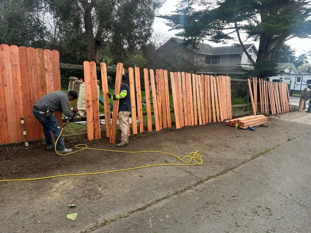 Initiative by Blossom Landscaping & Handyman Service - Photo 14