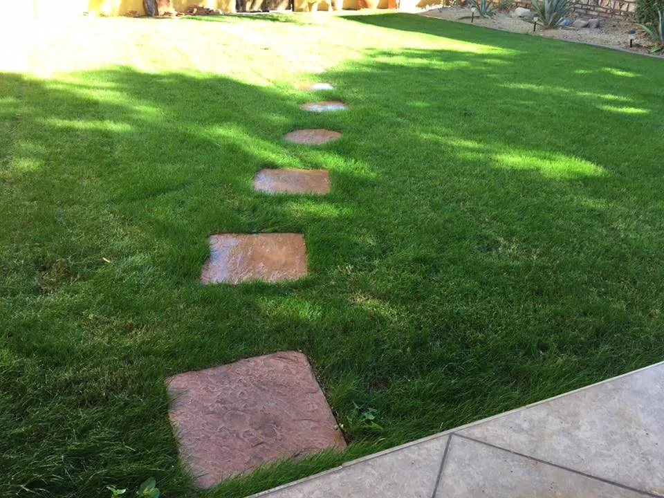 M&V Complete Yard Service - Photo 7