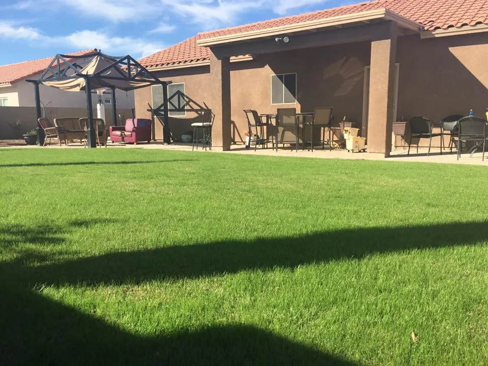 M&V Complete Yard Service - Photo 6
