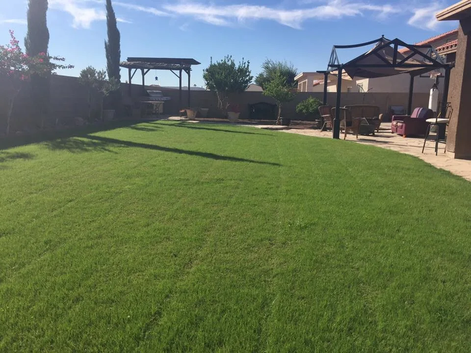 M&V Complete Yard Service - Photo 3