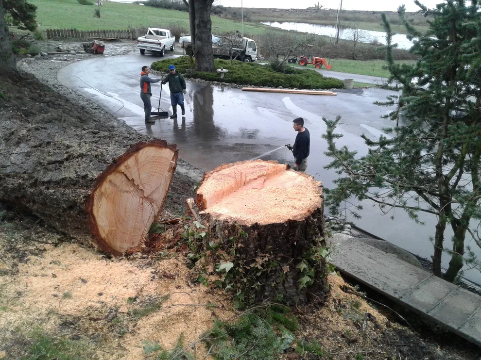 ProScapes Efforts in Action by ProScapes - Photo 11