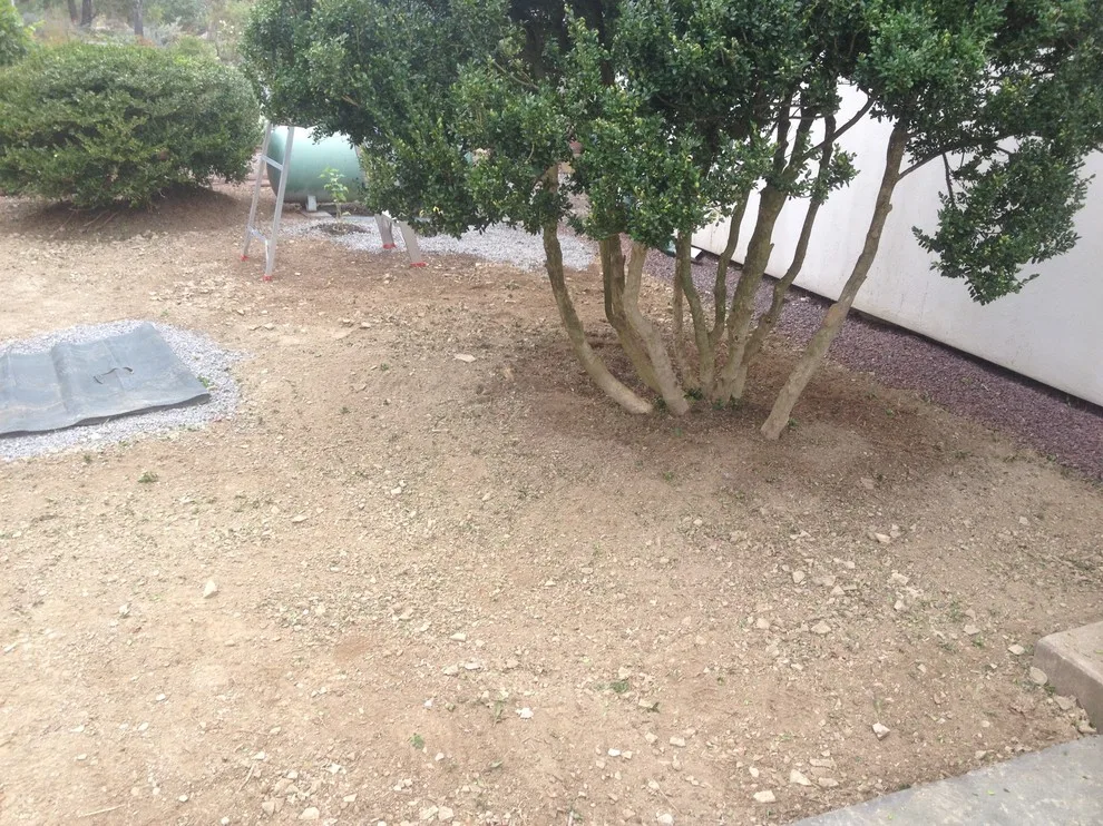 Crimson Gem by A-Z Landscaping LLC - Photo 19