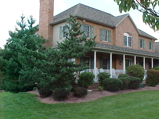 Crimson Gem by A-Z Landscaping LLC - Photo 6