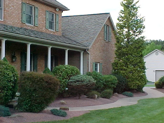 Crimson Gem by A-Z Landscaping LLC - Photo 14