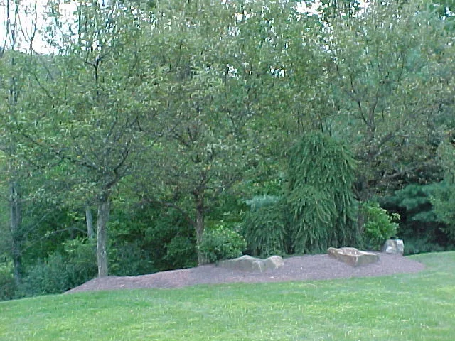 Crimson Gem by A-Z Landscaping LLC - Photo 21