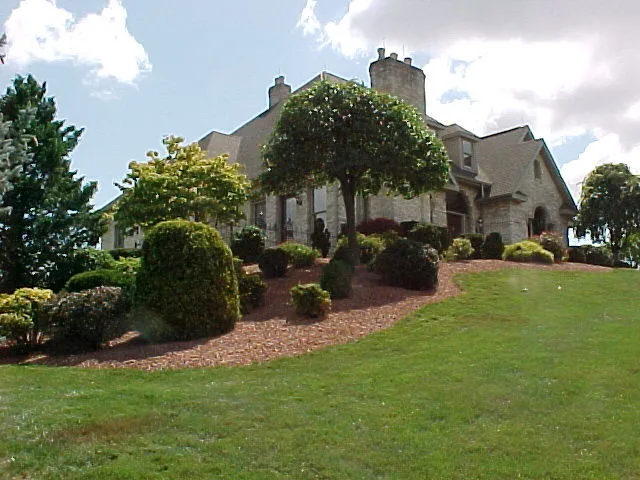 Crimson Gem by A-Z Landscaping LLC - Photo 10