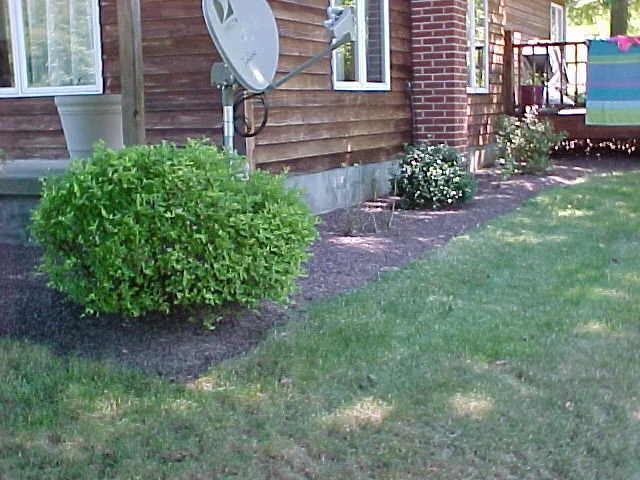 Crimson Gem by A-Z Landscaping LLC - Photo 30