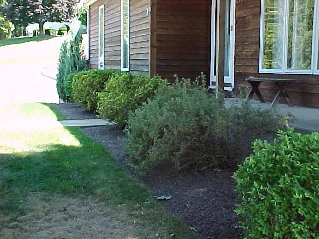 Crimson Gem by A-Z Landscaping LLC - Photo 32