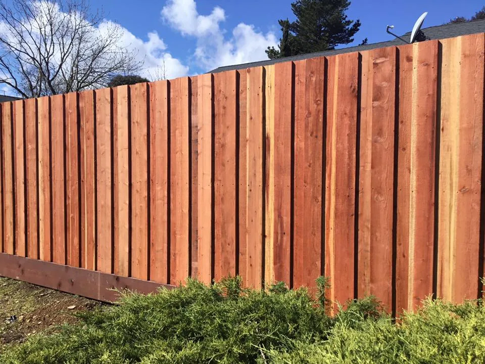 Sequoia Barrier Initiative by Nickel Creek Landscape & Design - Photo 2