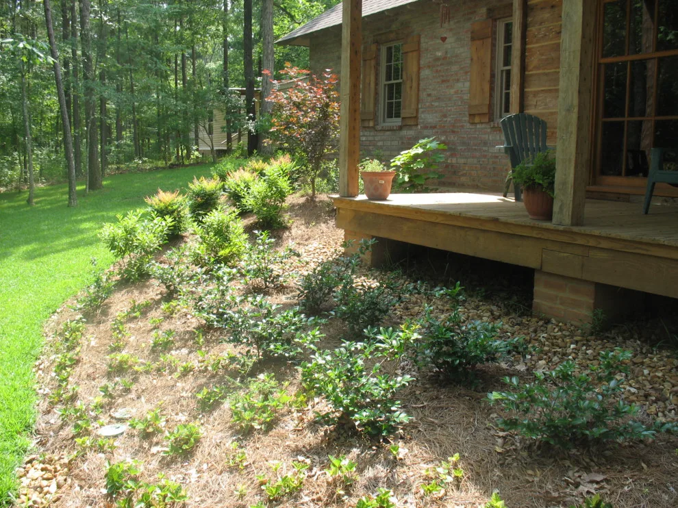 TaylorScapes - Photo 7