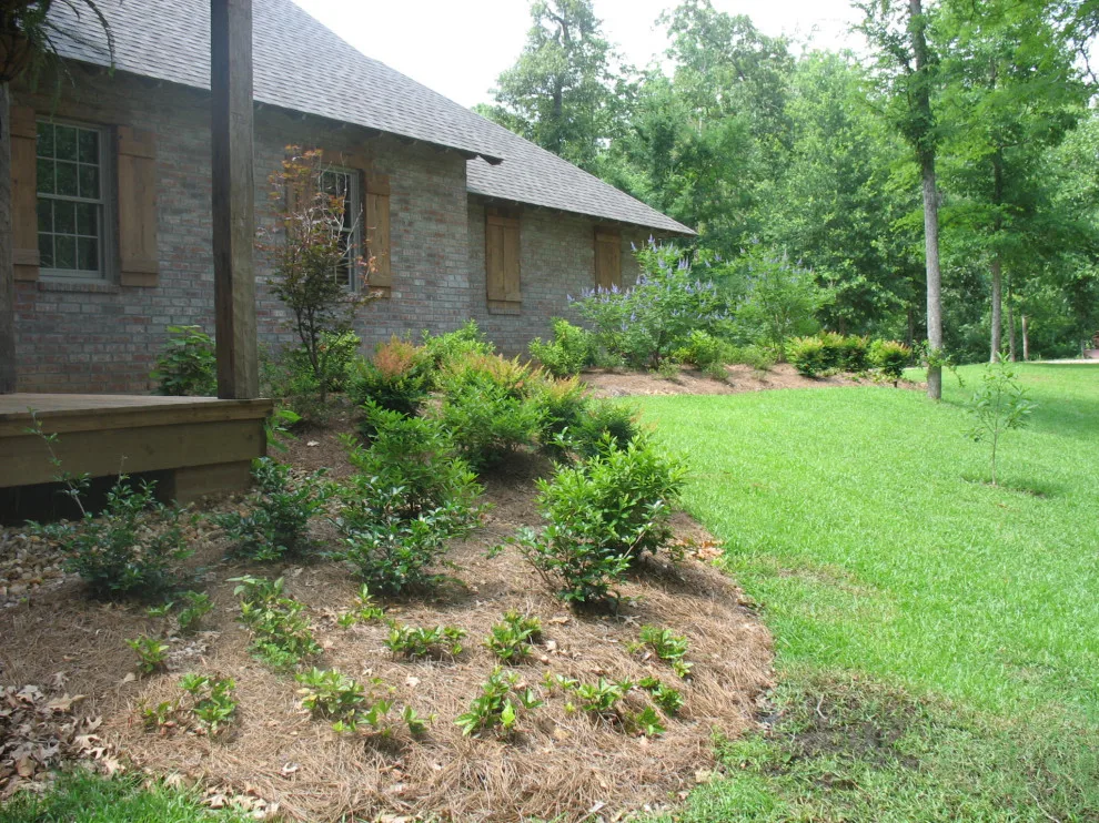 TaylorScapes - Photo 14