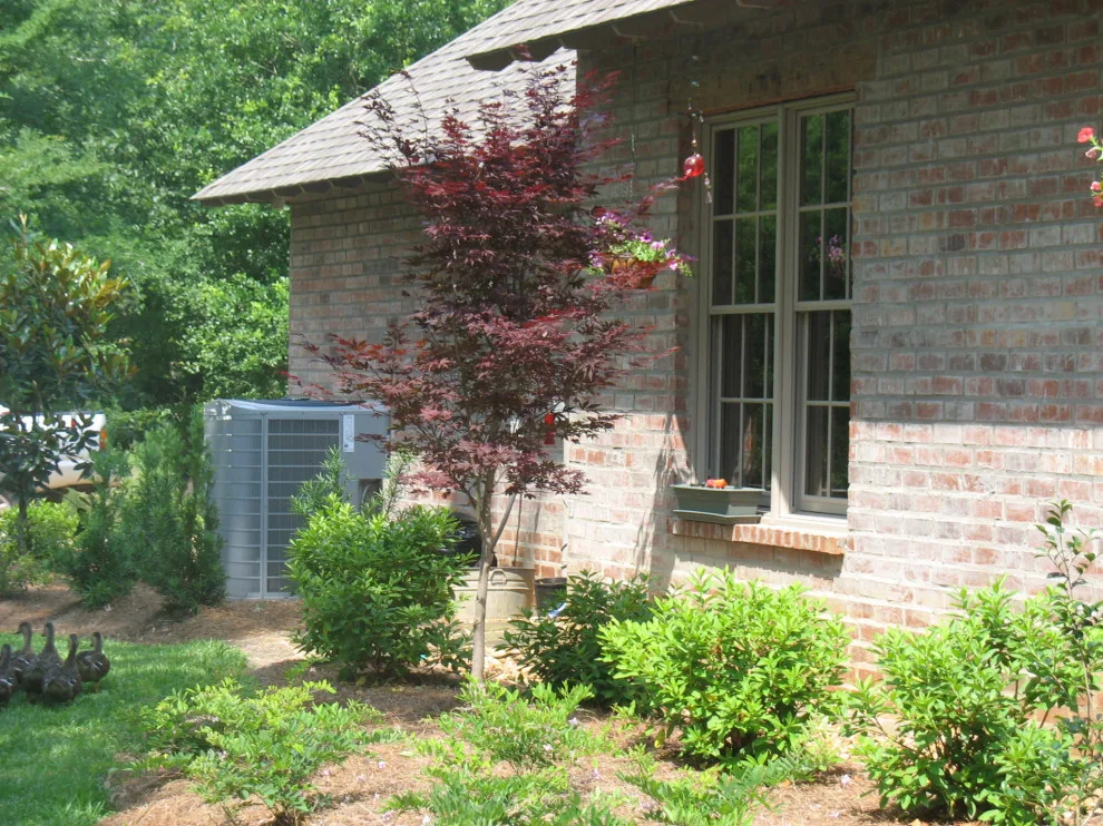 TaylorScapes - Photo 5
