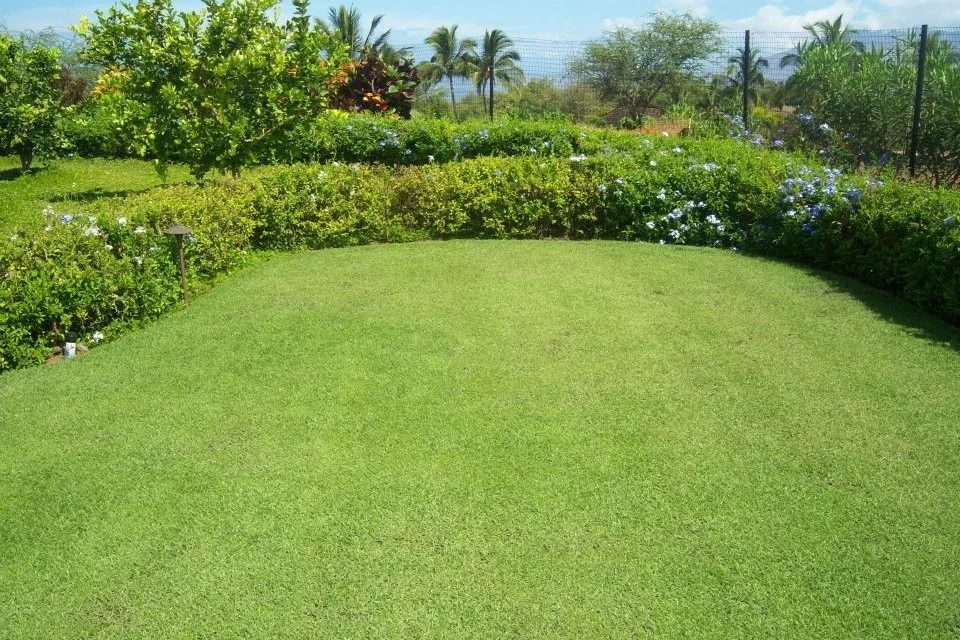 Southwest Greens Hawaii - Photo 3