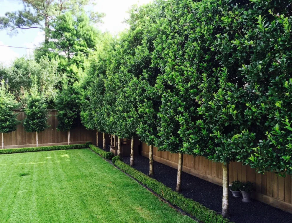 Coyle & Associates - Photo 4